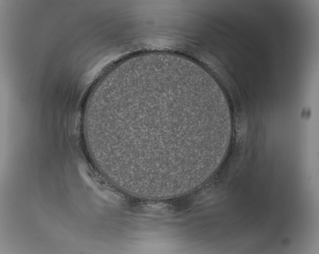 X0000111660583200908071435