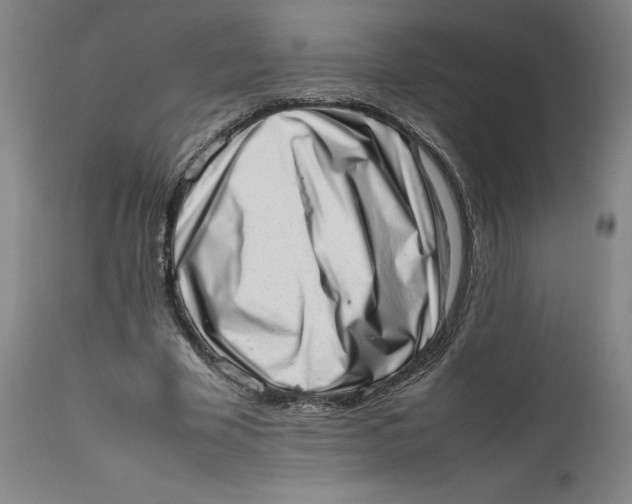 X0000111660585200908071435