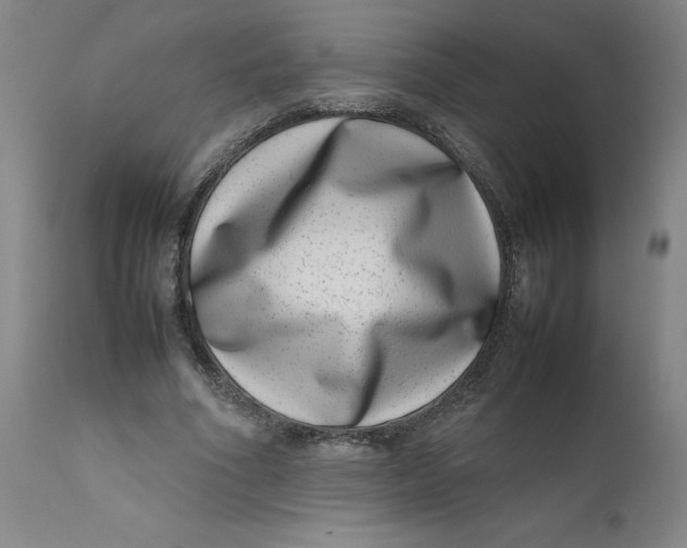 X0000111660586200908071435