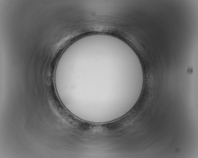 X0000111660587200908071435