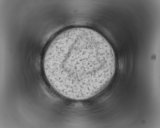 X0000111660588200908071435