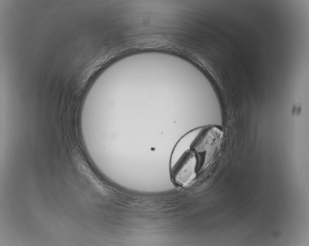 X0000111660589200908071435