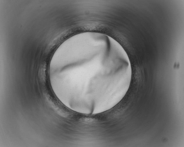 X0000111660590200908071435