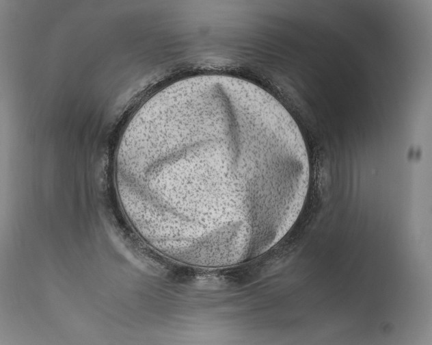 X0000111660591200908071435