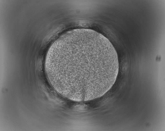 X0000111660595200908071435