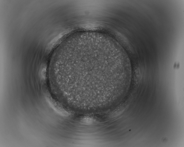 X0000111660596200908071435