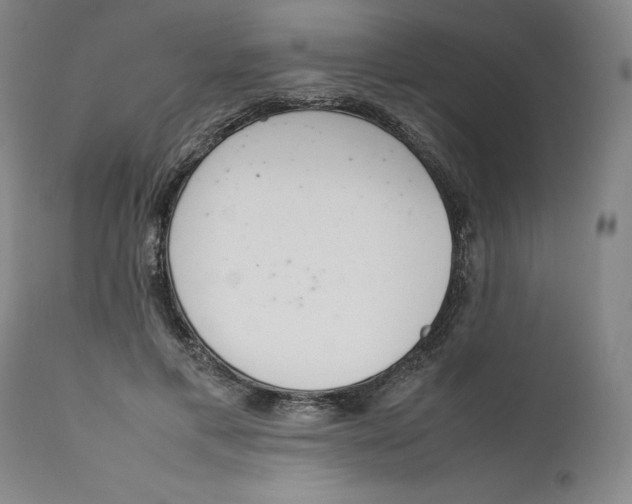 X0000111660597200908071435