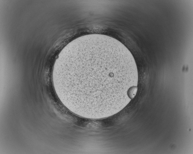 X0000111660599200908071435