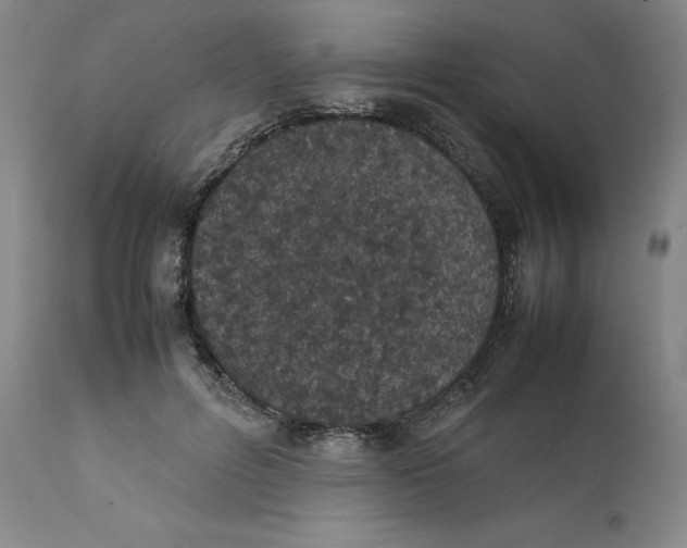 X0000111660600200908071435