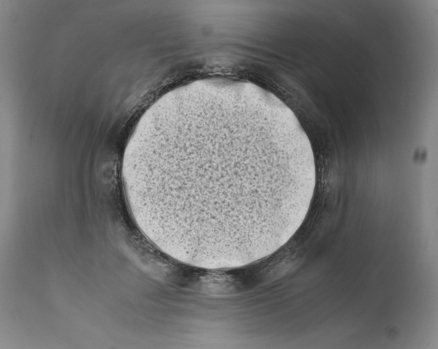 X0000111660603200908071435