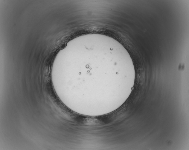 X0000111660605200908071435