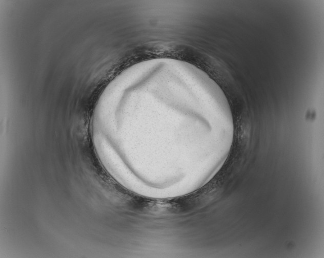 X0000111660607200908071435