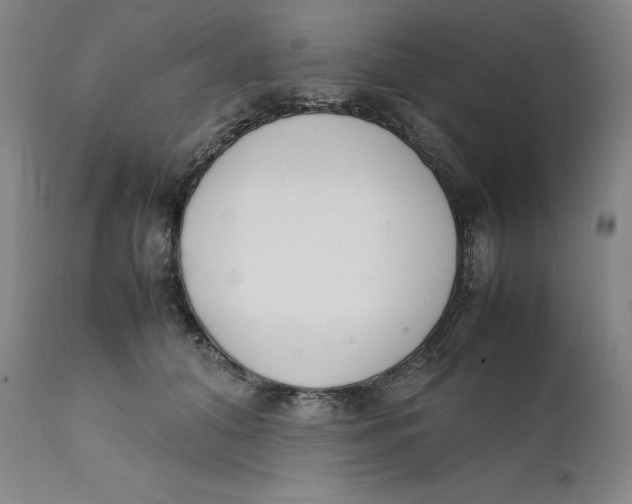 X0000111660608200908071435