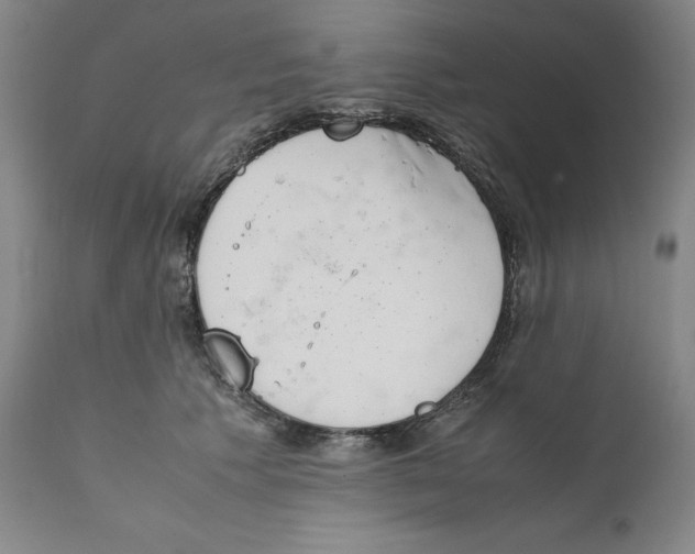 X0000111660609200908071435