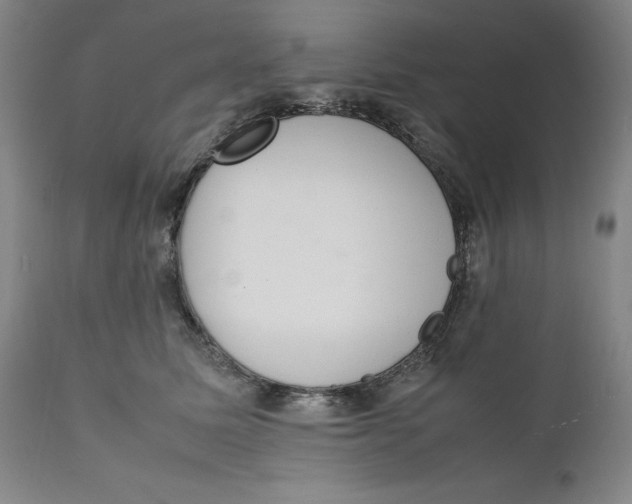 X0000111660611200908071435