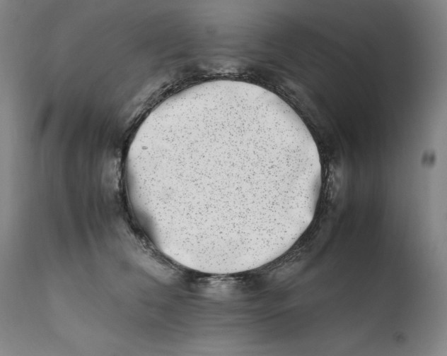 X0000111660612200908071435