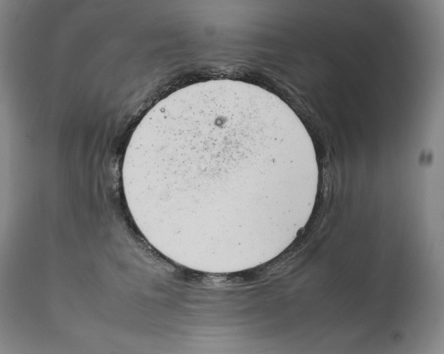 X0000111660613200908071435