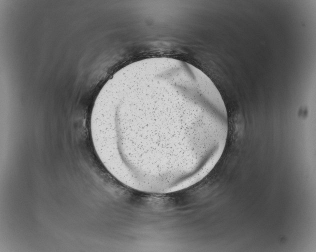 X0000111660615200908071435