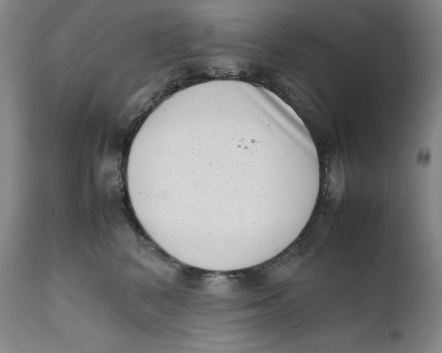 X0000111660616200908071435