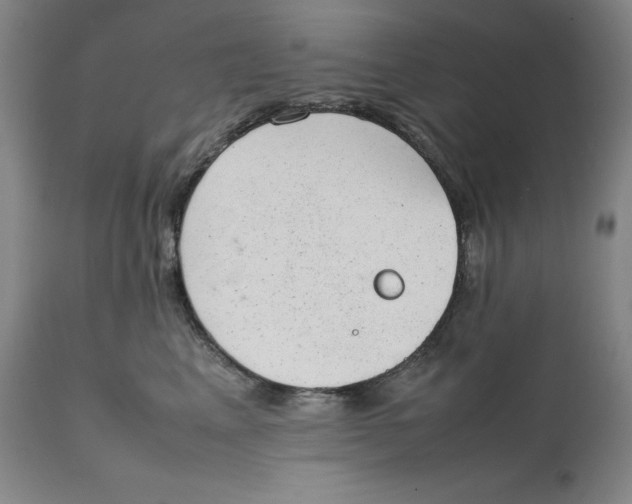 X0000111660617200908071435