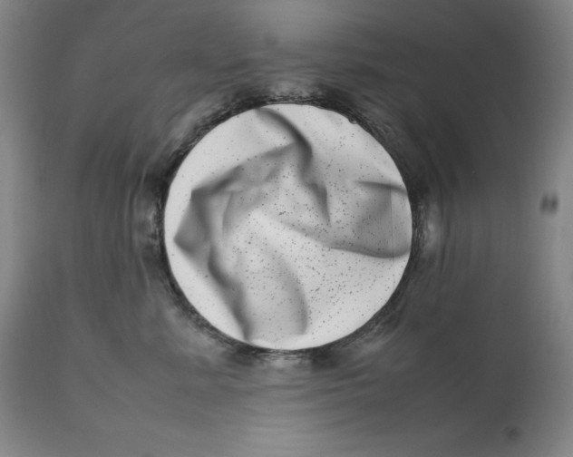 X0000111660619200908071435