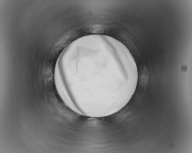 X0000111660620200908071435