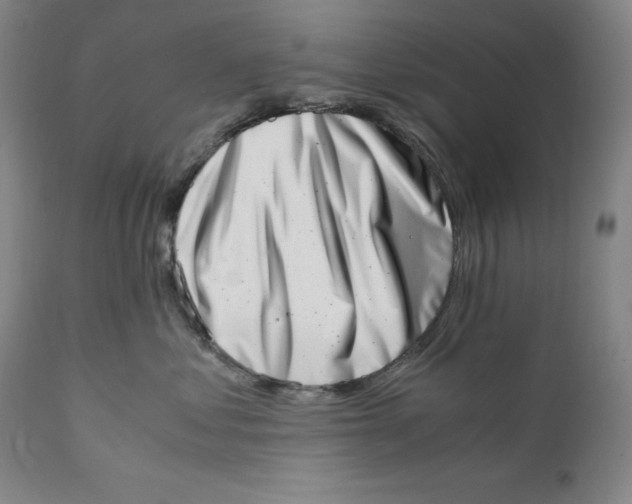 X0000111660621200908071435