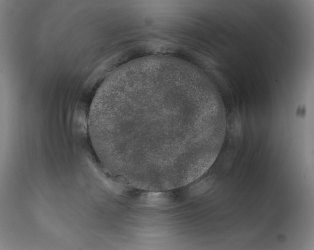 X0000111660622200908071435