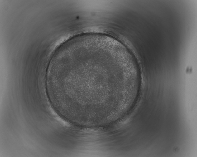 X0000111660625200908071434