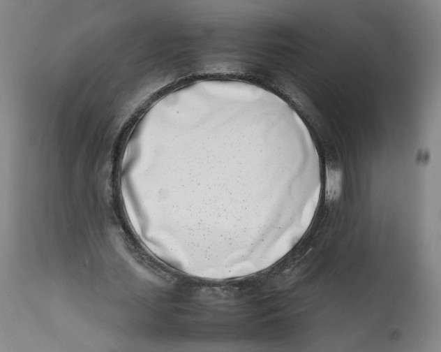 X0000111660627200908071434