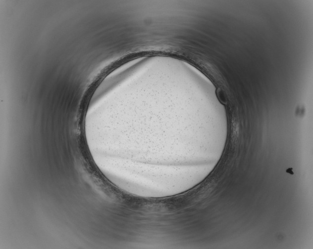 X0000111660628200908071434