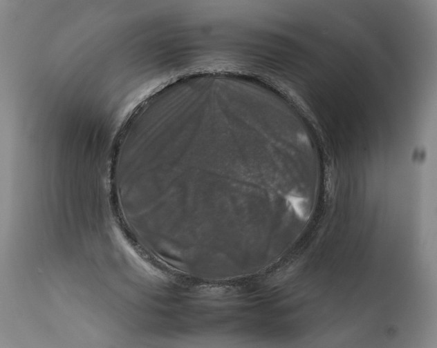 X0000111660629200908071434