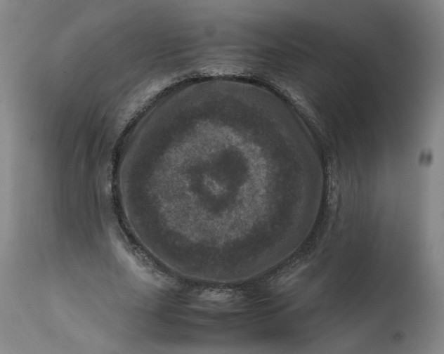 X0000111660631200908071434