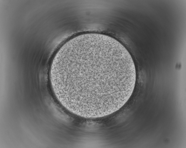 X0000111660632200908071434