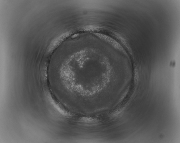 X0000111660633200908071434