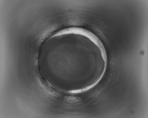 X0000111660635200908071434