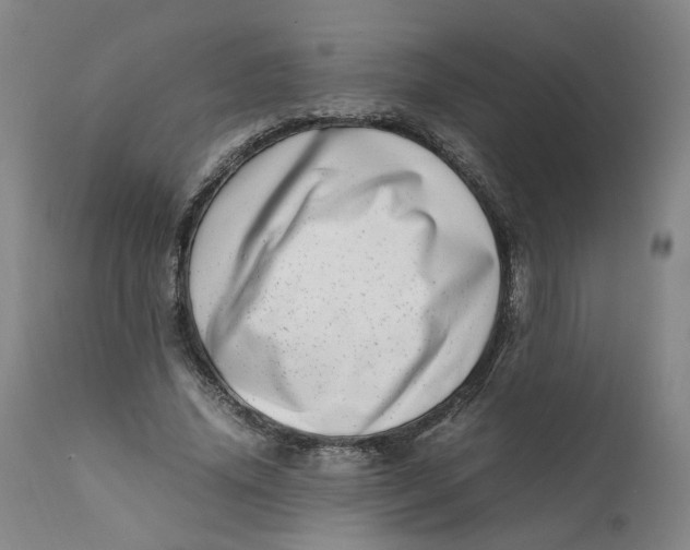 X0000111660636200908071434