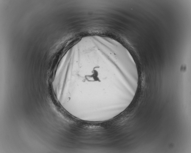 X0000111660637200908071434