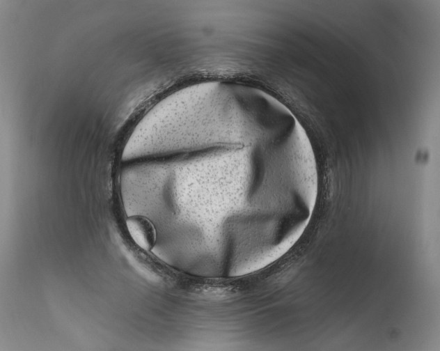 X0000111660638200908071434