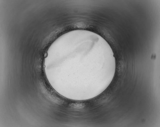 X0000111660639200908071434