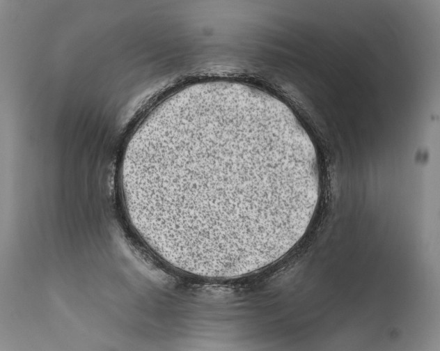 X0000111660640200908071434