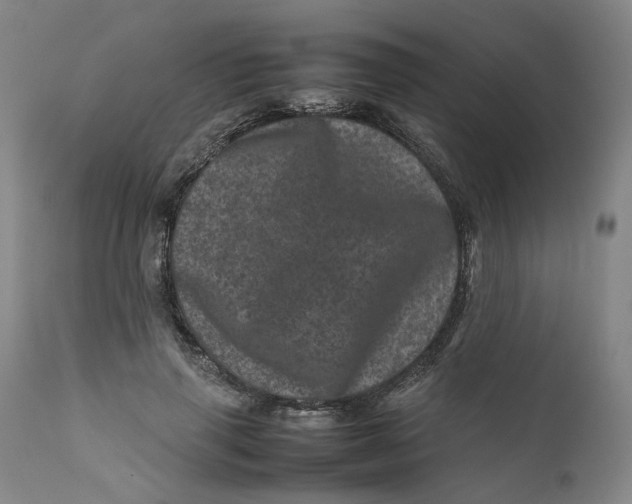 X0000111660645200908071434