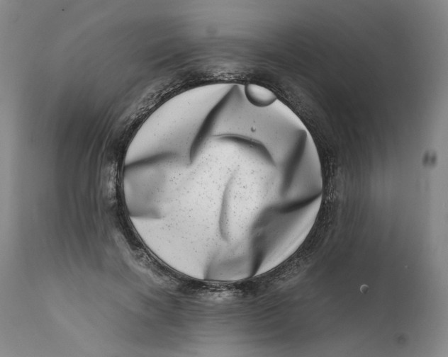 X0000111660646200908071434