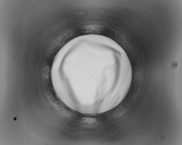 X0000111660649200908071434