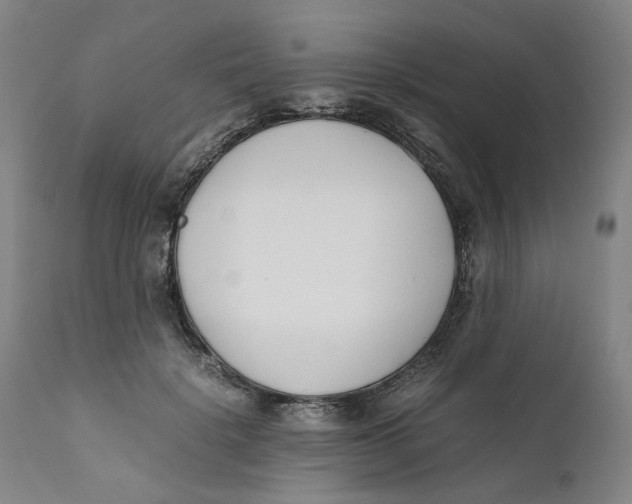 X0000111660652200908071434