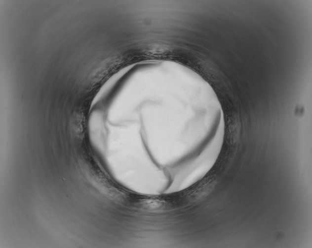 X0000111660654200908071434