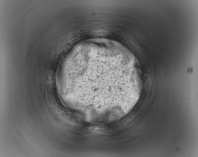 X0000111660655200908071434