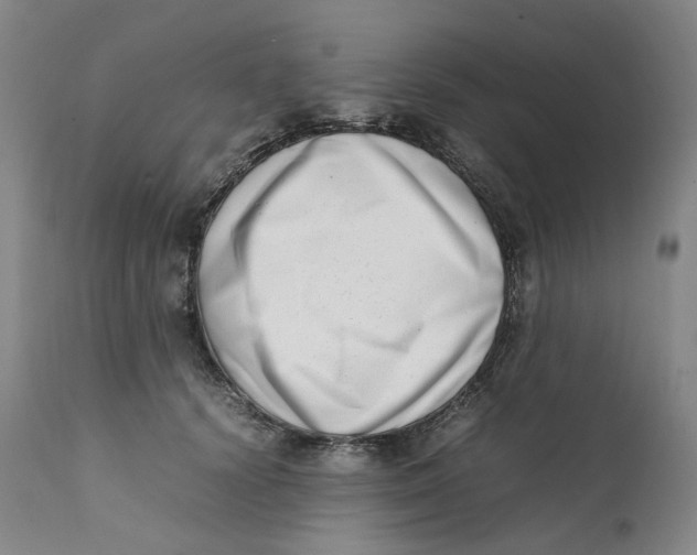 X0000111660656200908071434