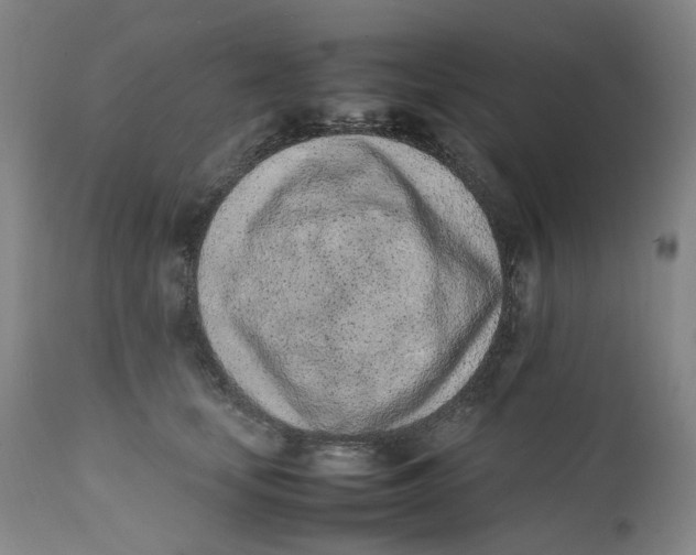 X0000111660659200908071434