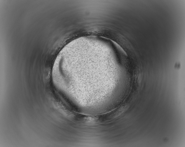 X0000111660660200908071434